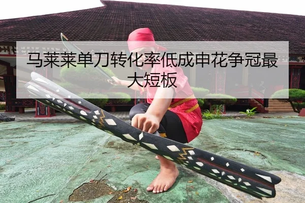 ma-lai-lai-dan-dao-zhuan-hua-lv-di-cheng-shen-hua-zheng-guan-zui-da-duan-ban-3-677.jpg