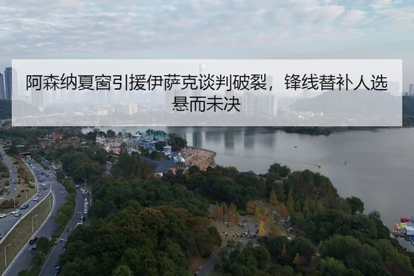 a-sen-na-xia-chuang-yin-yuan-yi-sa-ke-tan-pan-po-lie-feng-xian-ti-bu-ren-xuan-xuan-er-wei-jue-3-355.jpg