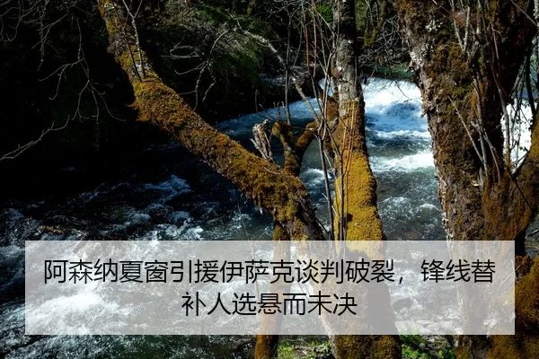 阿森纳夏窗引援伊萨克谈判破裂，锋线替补人选悬而未决