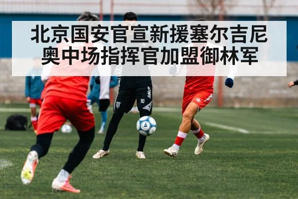 北京国安官宣新援塞尔吉尼奥中场指挥官加盟御林军